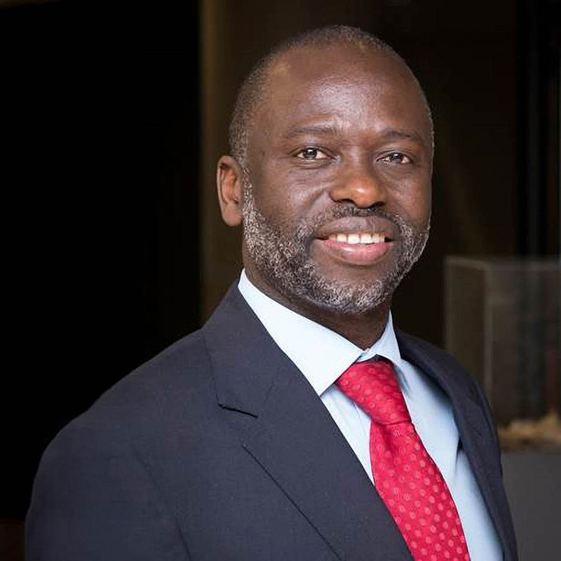 Tshilidzi Marwala Portrait